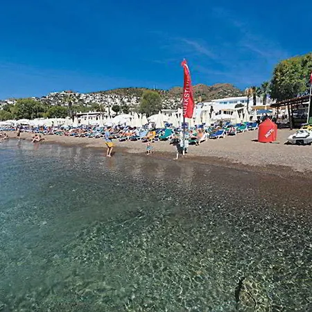 Petunya Feriested 4*