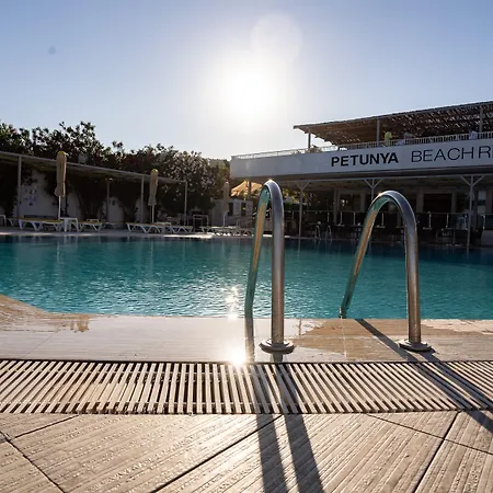 Petunya Ортакент