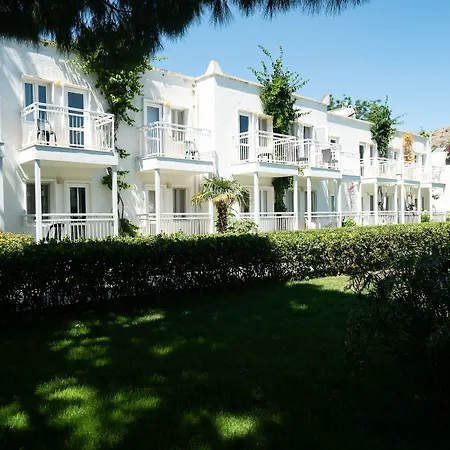 Resort Petunya Ortakentyahşi