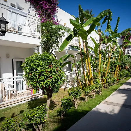 Курортный комплекс Petunya 4*