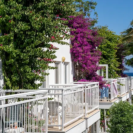 Resort Petunya Ortakentyahşi